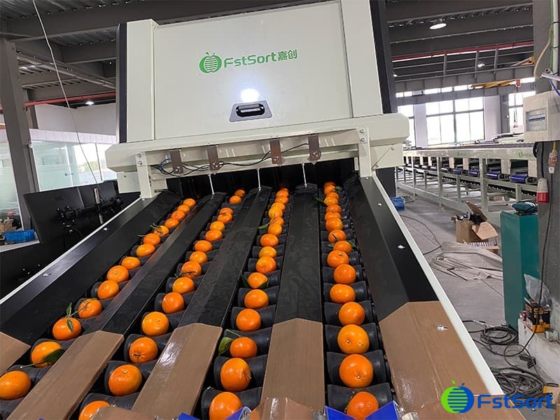 images/1699435527871fruit optical sorting machine.jpg
